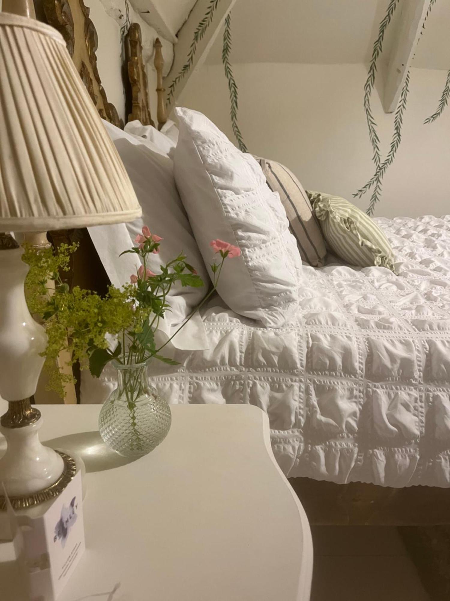 Bed and Breakfast Bowlish House Shepton Mallet Exteriér fotografie